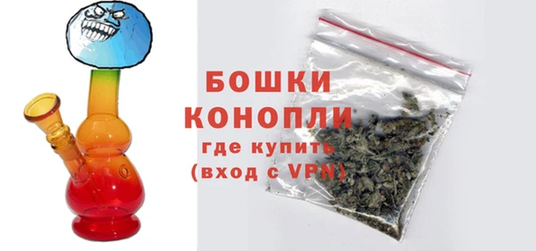 дживик Гусь-Хрустальный