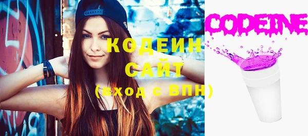 дживик Гусь-Хрустальный